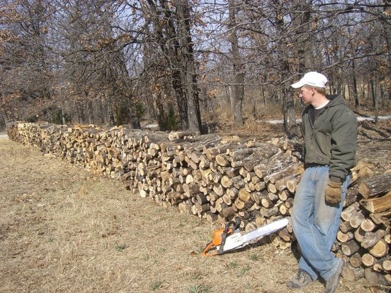 wood mark split on land.jpg